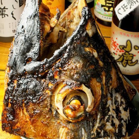 Retina kabuto maguro